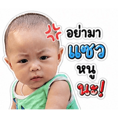 Hunter susu