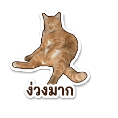 CAT444