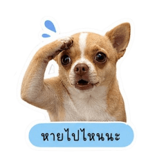 Ying_20260502115426