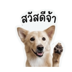 Monphan_20260502115525