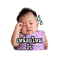 BB_20260502115747