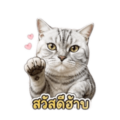 Luka_20260502121039