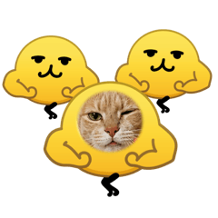 Numchock_20260502122304