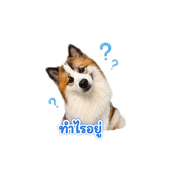 Lookpoo_20260502122009