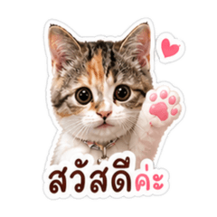 Nane Sticker_20260502122610