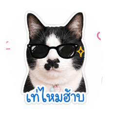 nong_nub_tang
