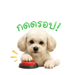 Noeyritrit_20260502123218