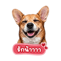 miew.vi_20260502125142