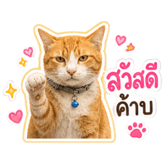 BowNi_20260502125518