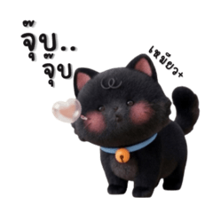A cute, chubby black cat.