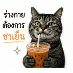 JoeChaYen_20260502130616