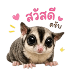 Fuu_20260502130528