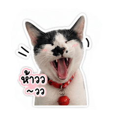nong-mee-tang