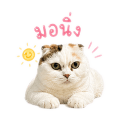 Yeolkwa._20260502131309