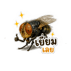 MAWAN88