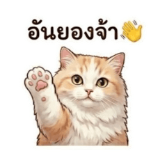 Jame_20260502132645