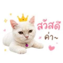 Daimond_20260502134224