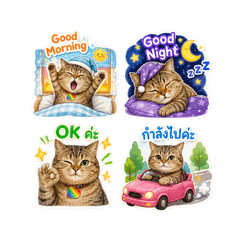 Betty is lovely cat