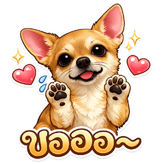 My_Chihua_Dog_01