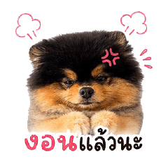 Littlebabai Ver 2