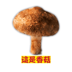 蔬果派貼圖