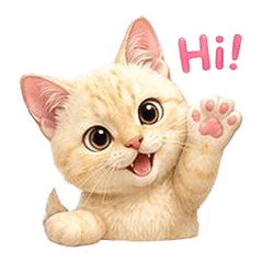 Crazy White Meaw