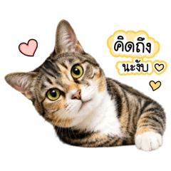 MonsterAonKJ_20260518122327