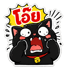 FunnyBlackCat