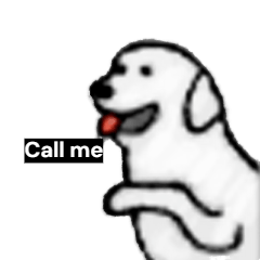 Hi Labrador Retriever