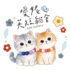 曖妮英短貓舍