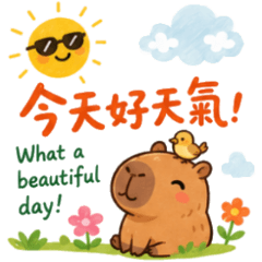 Cute Capybara: Daily Life & Greetings