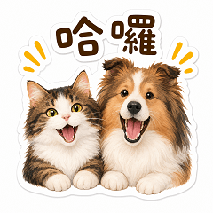 Dog_catt_dog