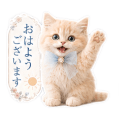 Kitten Stickers for Work & Daily Use