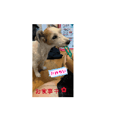 yuzu_20260625165946
