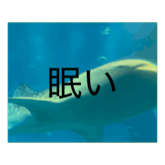 hello_20260626013915