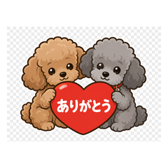 Fluffy Poodle Duo: Let's go for a walk!