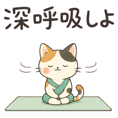 Calico Morning Yoga Breaths