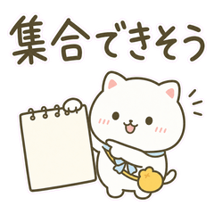 White Cat Before-Going-Out Checks