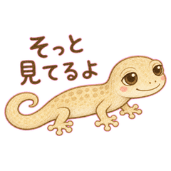 窗邊壁虎的輕聲回覆