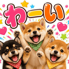 飛び出す！激しいリアクションわんこ