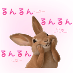 Real Bunny Luna Vol.6