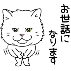 cutewhitecat1