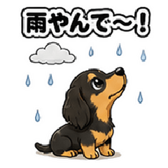 A Dachshund on a Rainy Day