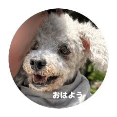 momo_20260624184417