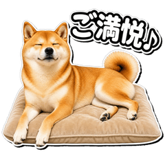 Suspiciously Real Shiba Inu Vol.2