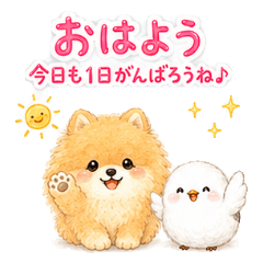 Round Pomeranian and Shimaenaga