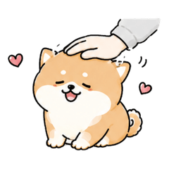 Attention-Seeking Shiba Dog
