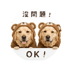 皮皮/寶寶