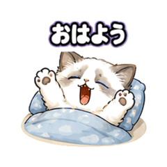 昏昏欲睡的布娃娃 QMJ
