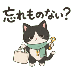 Tuxedo Cat Doorway Checks